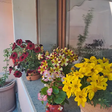 Affittacamere A Casa Di Matisse Campagnano Di Roma